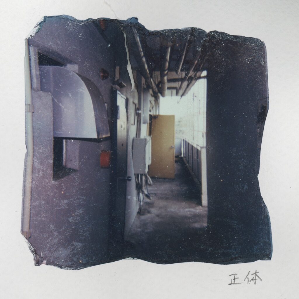 DISCOGRAPHY - オレンジスパイニクラブ